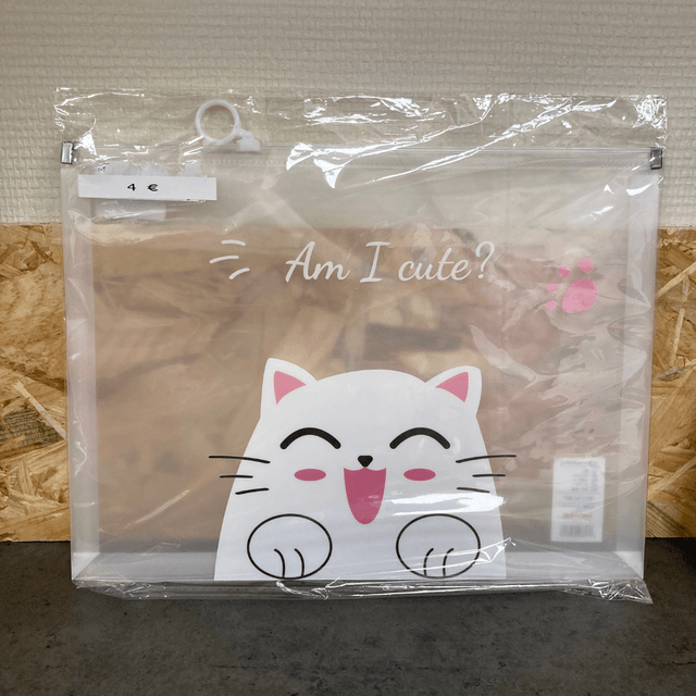 Pochette Chat transparente