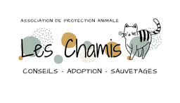 store_logo