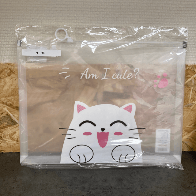 Pochette Chat transparente